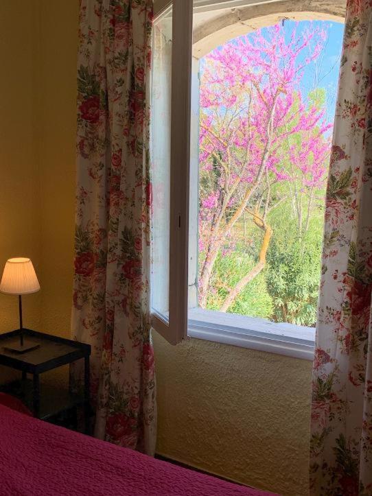 Mas Antonelle Villa Arles Kültér fotó