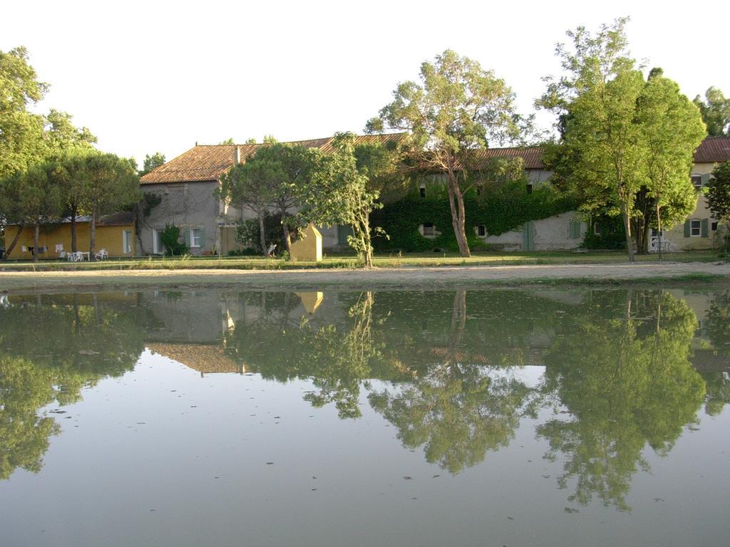 Mas Antonelle Villa Arles Kültér fotó