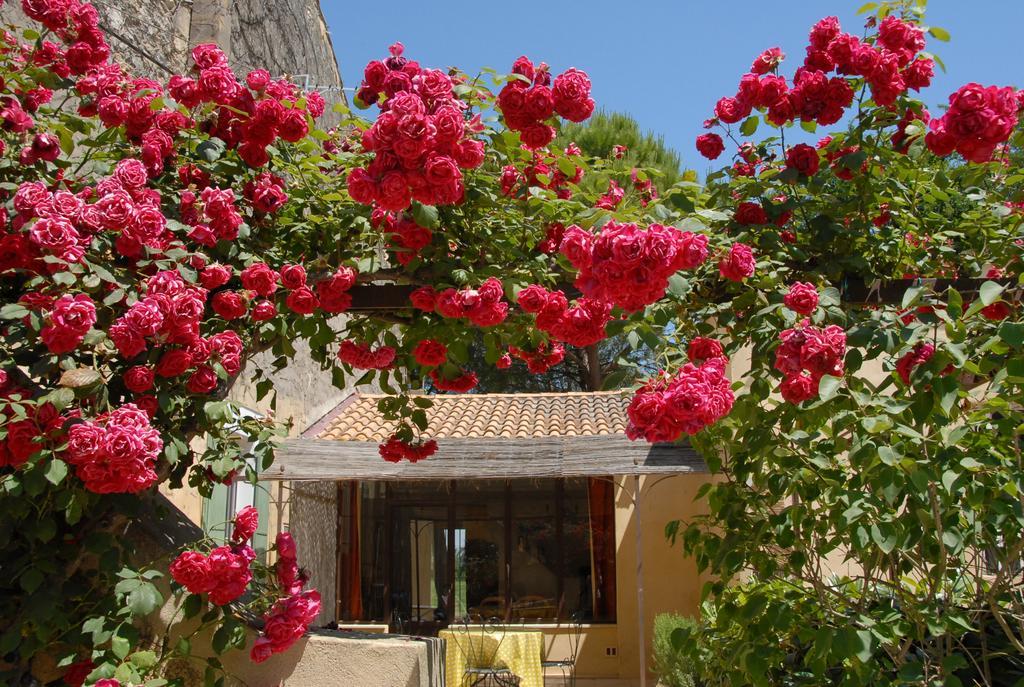 Mas Antonelle Villa Arles Kültér fotó
