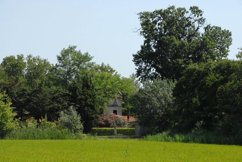 Mas Antonelle Villa Arles Kültér fotó
